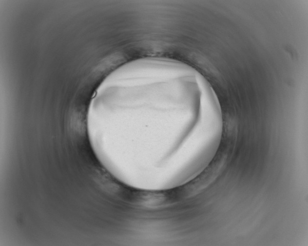 X0000113320719200910051125