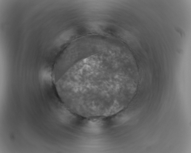 X0000113320720200910051125