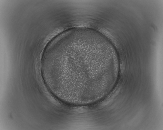 X0000113320721200910051124