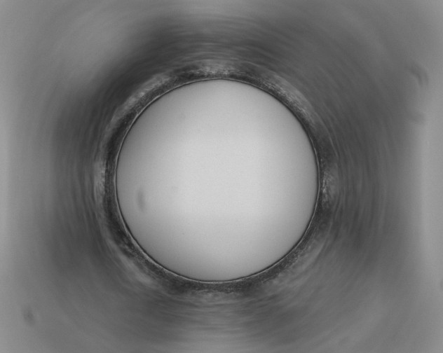 X0000113320722200910051124