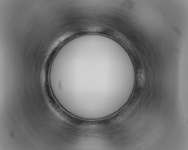 X0000113320726200910051124