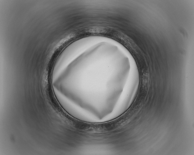 X0000113320727200910051124