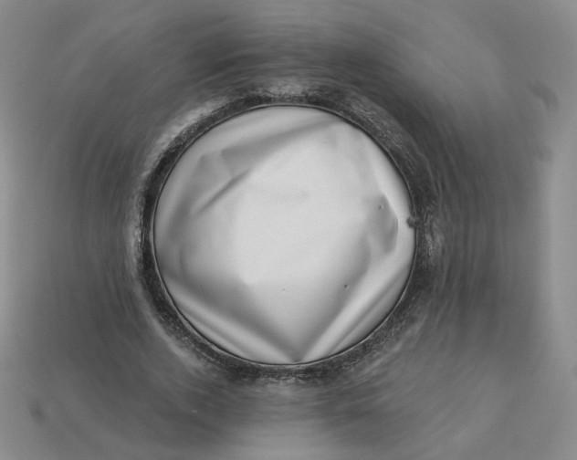 X0000113320728200910051124