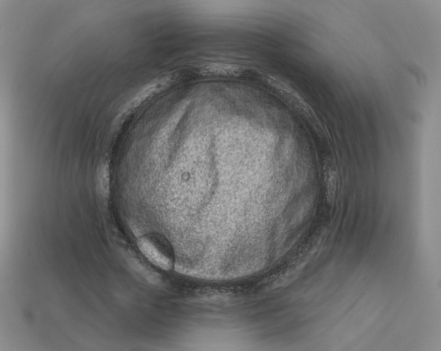 X0000113320729200910051124