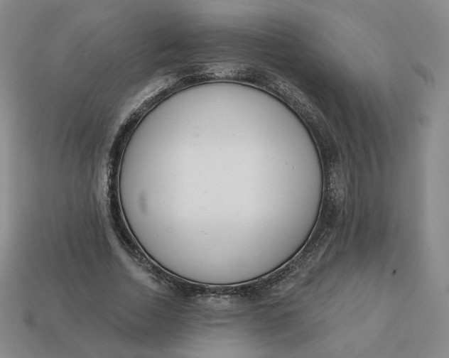 X0000113320730200910051124