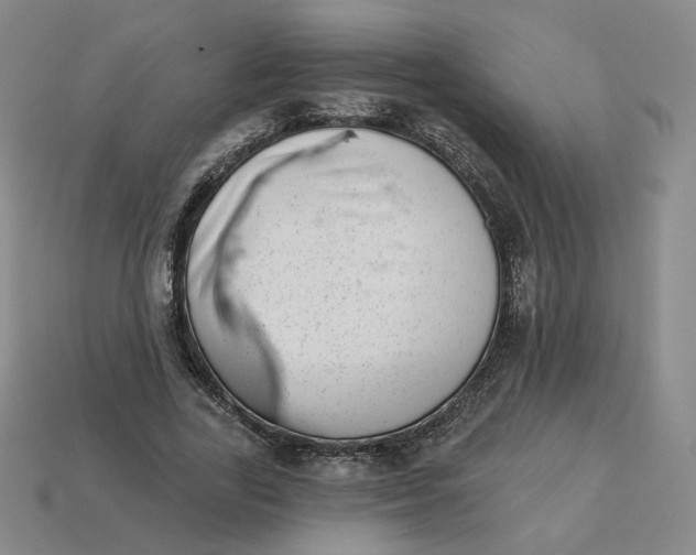 X0000113320731200910051124