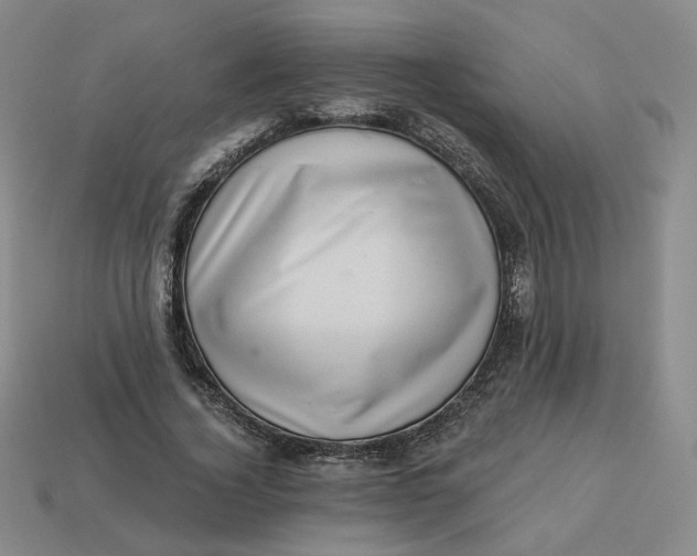 X0000113320732200910051124