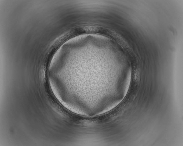 X0000113320733200910051124