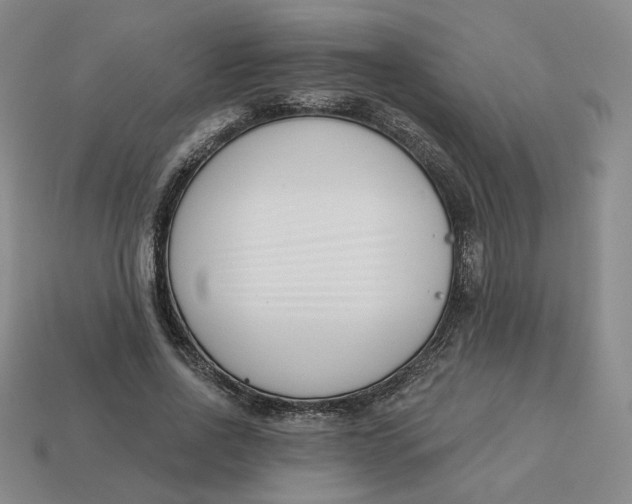 X0000113320734200910051124