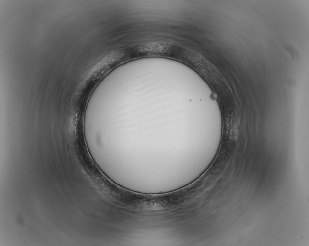 X0000113320735200910051124