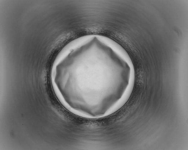 X0000113320738200910051125