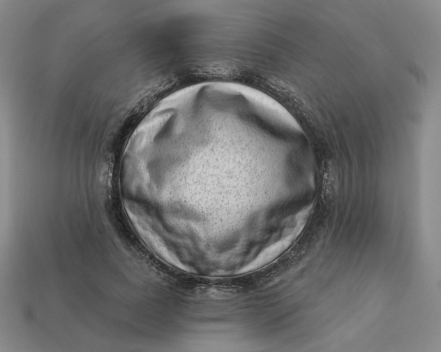 X0000113320739200910051125