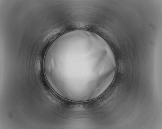 X0000113320740200910051125