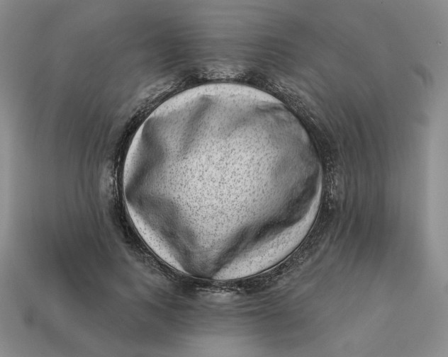 X0000113320743200910051125