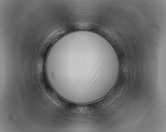 X0000113320744200910051125