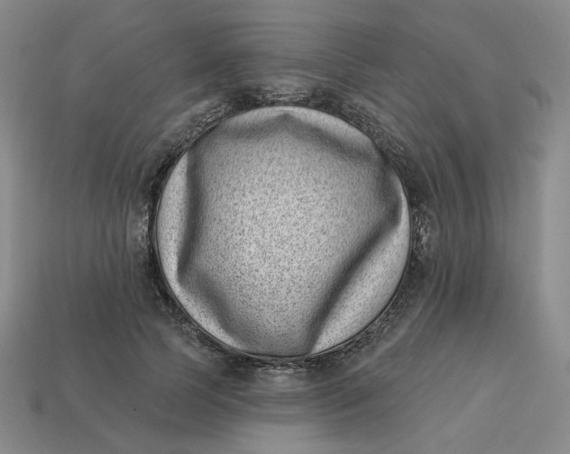 X0000113320745200910051125