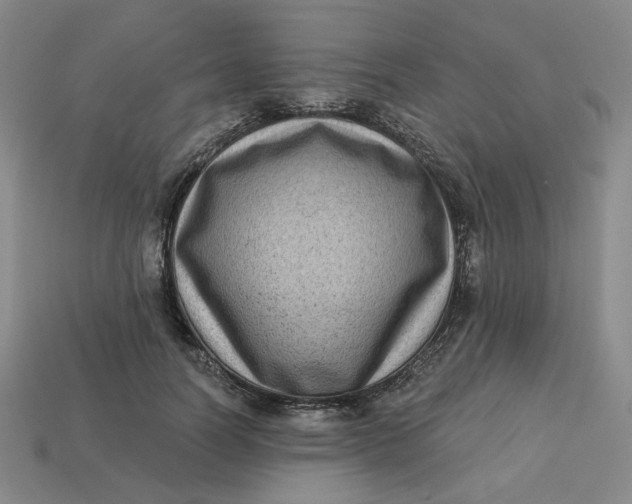 X0000113320746200910051125