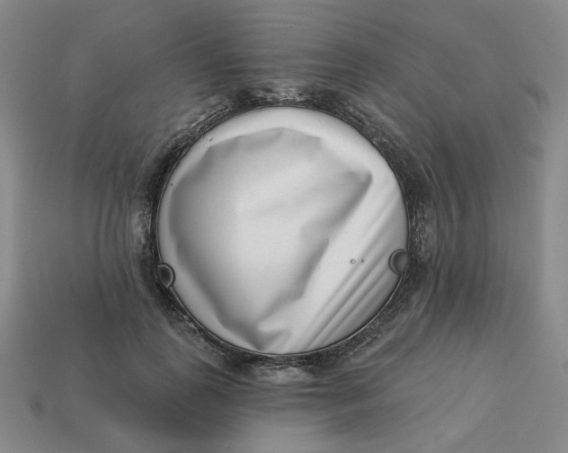 X0000113320747200910051125