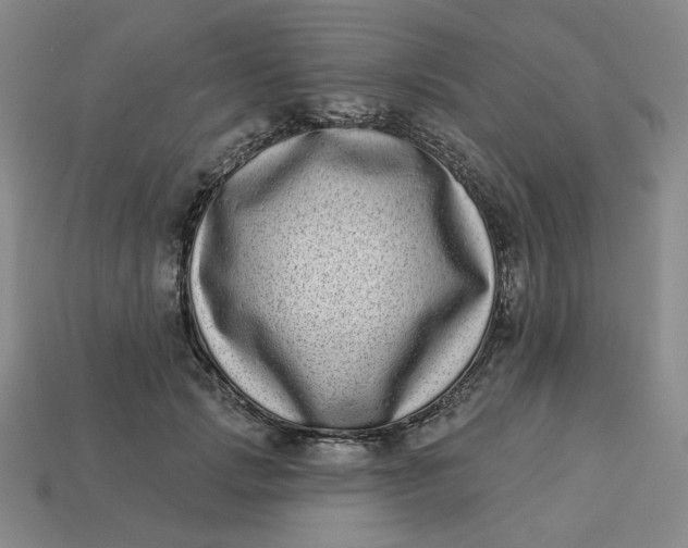 X0000113320749200910051125