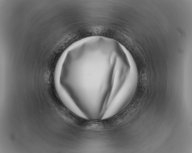 X0000113320750200910051125