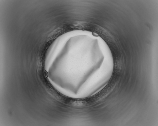 X0000113320751200910051125