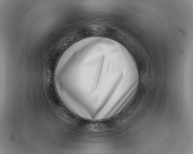 X0000113320752200910051125