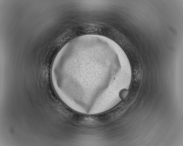 X0000113320753200910051125