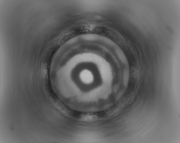 X0000113320754200910051125