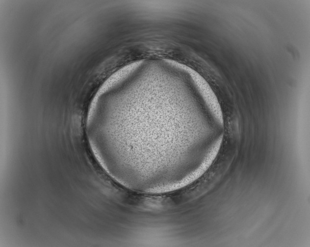 X0000113320757200910051125