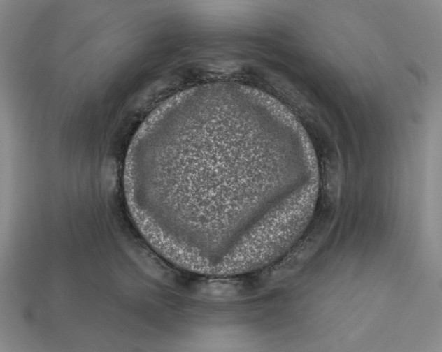 X0000113320758200910051125