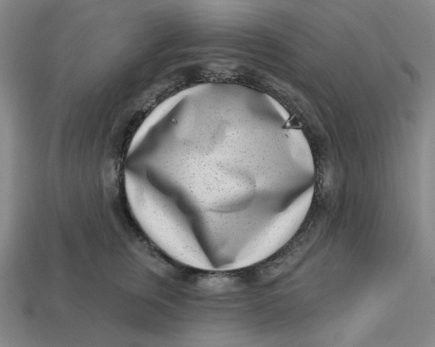 X0000113320759200910051125