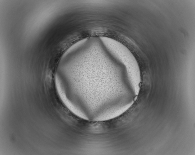 X0000113320761200910051125