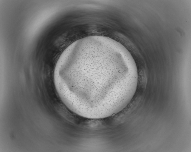 X0000113320762200910051125