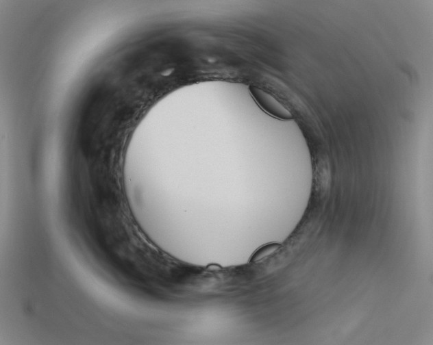 X0000113320764200910051125