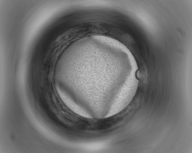 X0000113320765200910051125