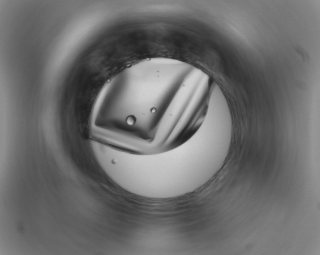 X0000113320766200910051125