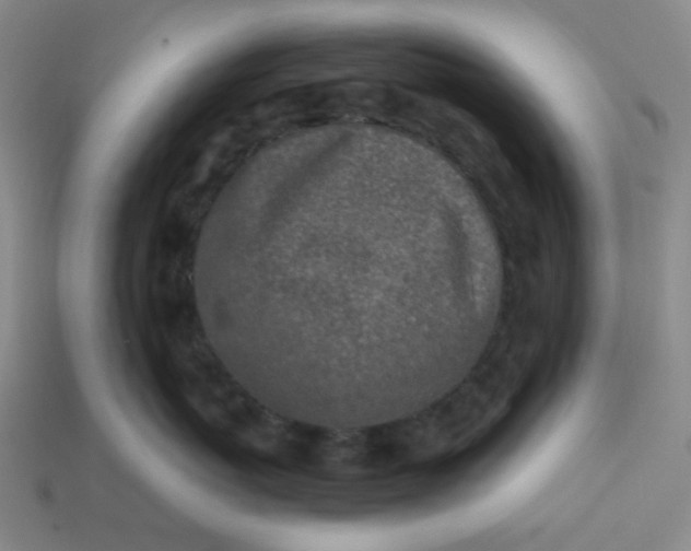 X0000113320767200910051125