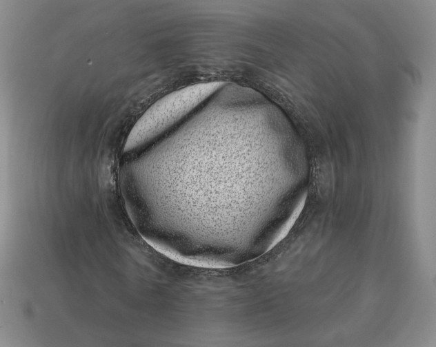 X0000113320770200910051124