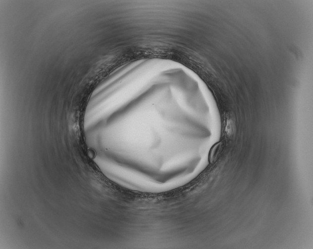 X0000113320771200910051124