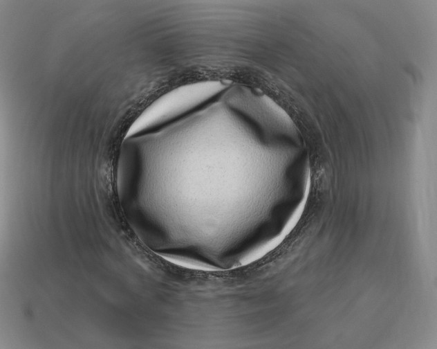 X0000113320772200910051124