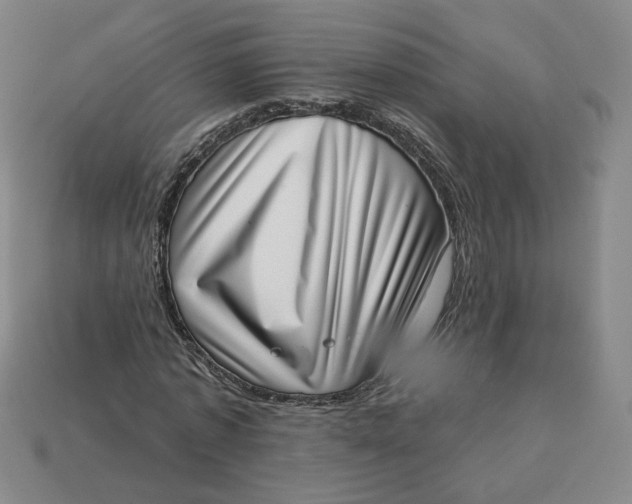 X0000113320773200910051124