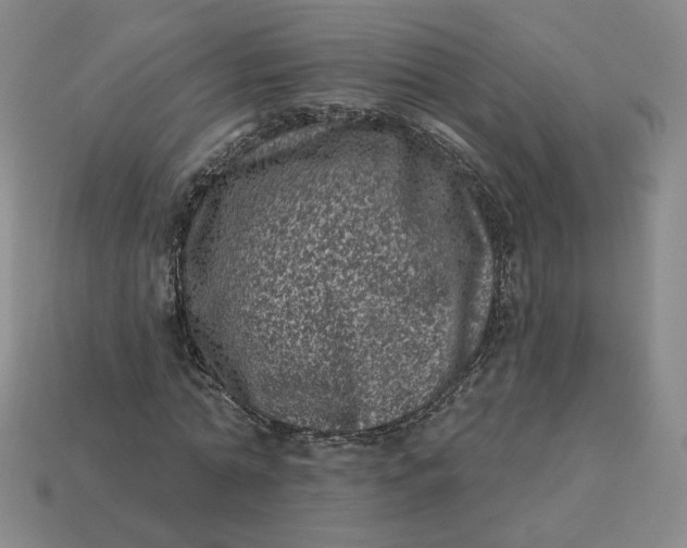 X0000113320774200910051124