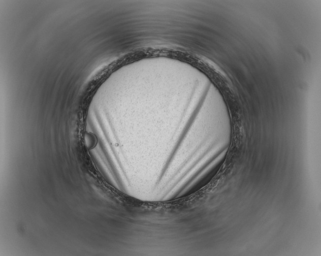 X0000113320775200910051124