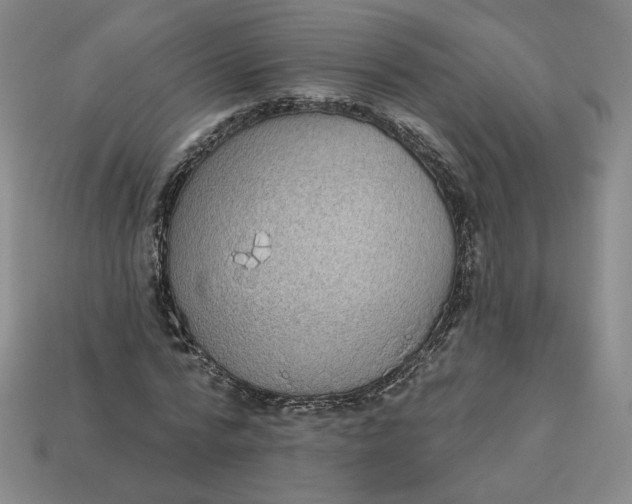 X0000113320776200910051124