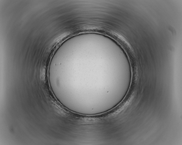 X0000113320777200910051124