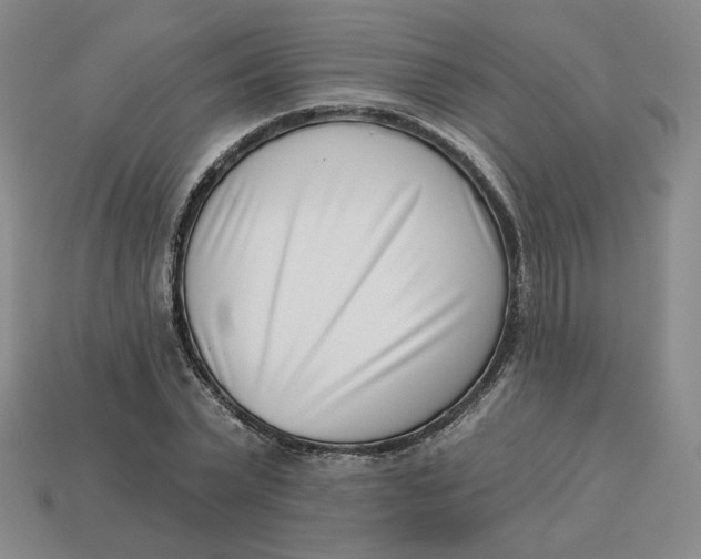 X0000113320783200910051124