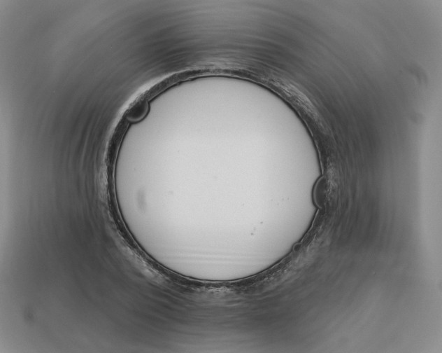 X0000113320784200910051124