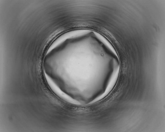 X0000113320786200910051124