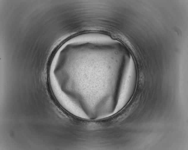 X0000113320787200910051124