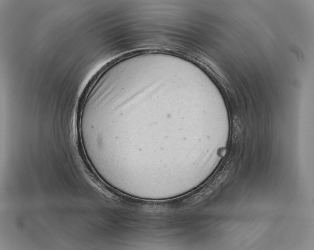 X0000113320788200910051124